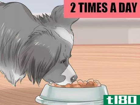 Image titled Feed Your Dog Naturally Step 13
