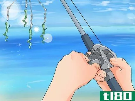 Image titled Fish an Umbrella Rig for Bass Step 10