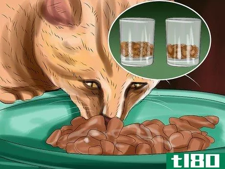 Image titled Encourage Your Cat to Eat Step 10
