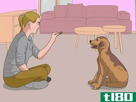 Image titled Dog Sit Step 9