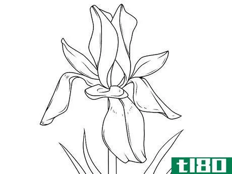 Image titled Draw Flowers Step 36