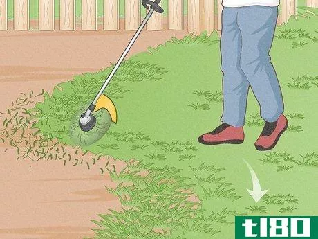 Image titled Edge a Lawn with String Trimmer Step 5