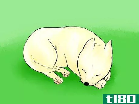 Image titled Draw a Cartoon Dog Step 28