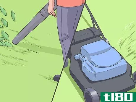 Image titled Eliminate a Flea Infestation in Your Home Step 10