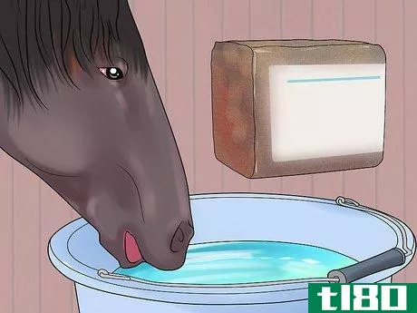 Image titled Feed a Starving Horse Step 3