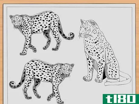 Image titled Draw Leopards Step 10