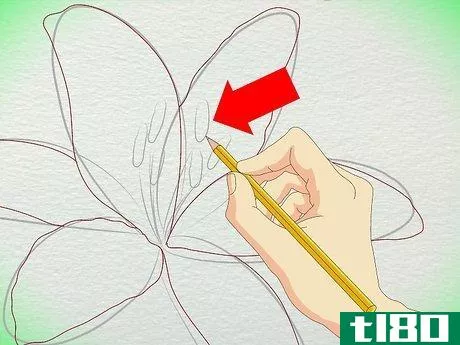 Image titled Draw a Lily Step 18