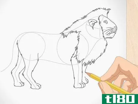 Image titled Draw a Lion Step 9
