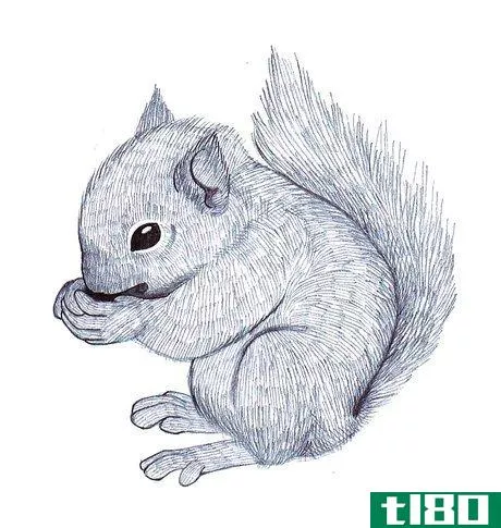 Image titled Draw a Squirrel Step 9