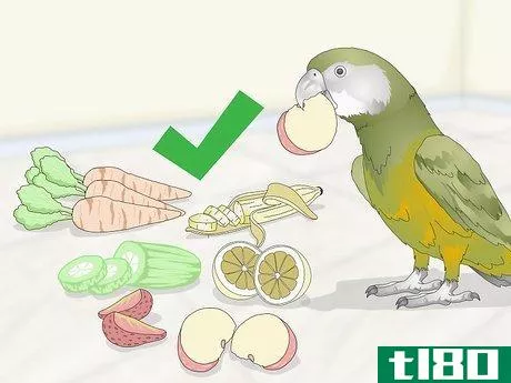 Image titled Feed a Senegal Parrot Step 2