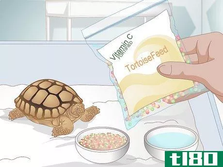 Image titled Diagnose Stomatitis in Tortoises Step 8