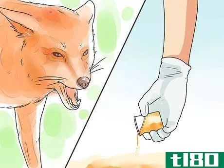 Image titled Deter Foxes Step 6