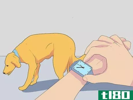 Image titled Diagnose Coughing in Dogs Step 1