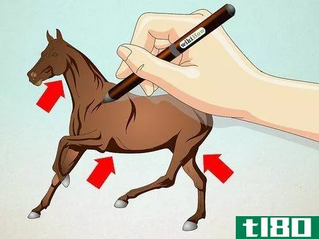 Image titled Draw a Realistic Looking Horse Step 6