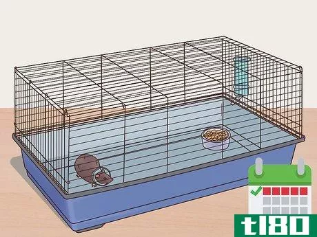 Image titled Desex a Pet Rat Step 8