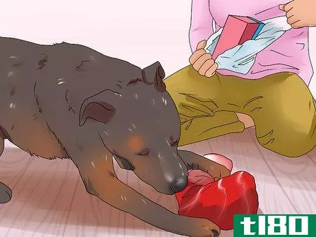 Image titled Fill a Dog's Stocking for Christmas Step 14