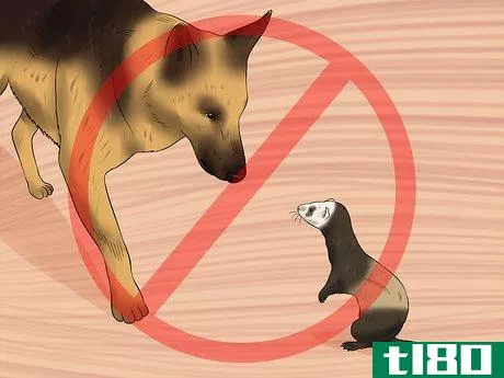 Image titled Ferret Proof a House Step 11