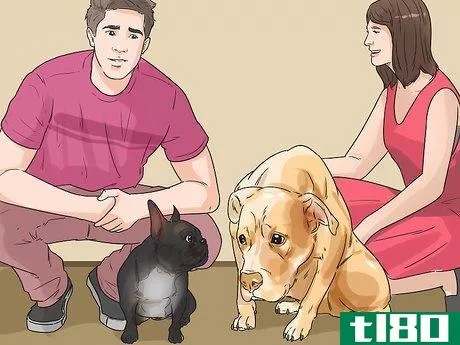 Image titled Dog‐Sit when You Have a Small Pet Step 1