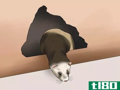 Image titled Ferret Proof a House Step 13
