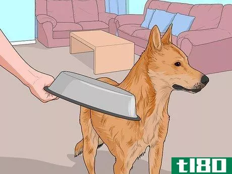Image titled Feed a Sick Dog Step 8