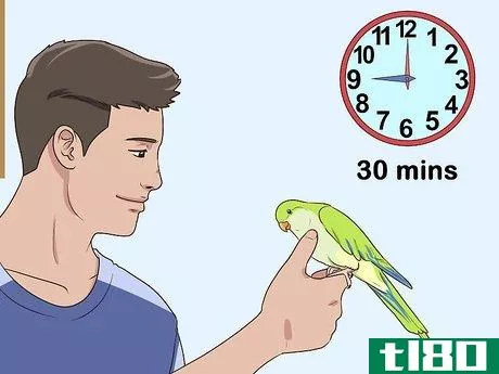 Image titled Entertain a Quaker Parrot Step 7