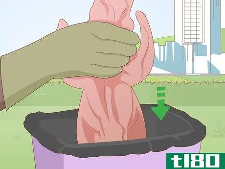 Image titled Dissect a Fetal Pig Step 18