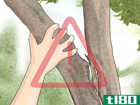 Image titled Free Climb a Tree Step 12