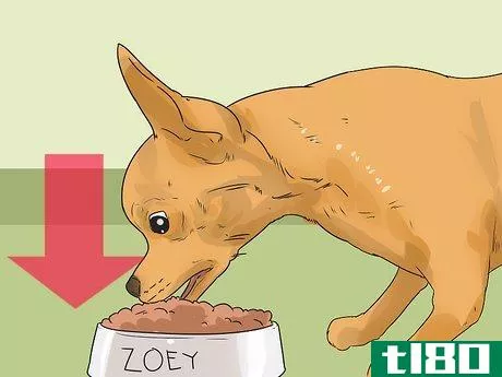 Image titled Feed a Diabetic Dog Step 9