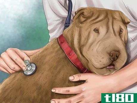 Image titled Diagnose Skin Masses on Dogs Step 6