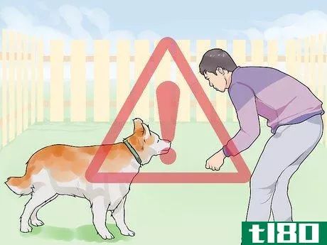 Image titled Gain Trust in an Aggressive Dog Step 14