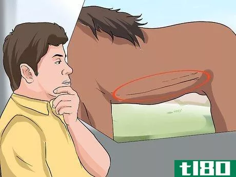Image titled Diagnose Heaves in Horses Step 2