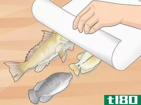 Image titled Do Gyotaku Fish Rubbing Step 28