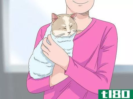 Image titled Diagnose and Treat Frostbite in Cats Step 9