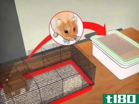 Image titled Disinfect a Hamster's Cage Step 2
