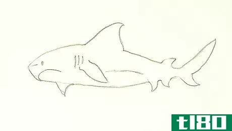 Image titled Draw a Shark Step 28