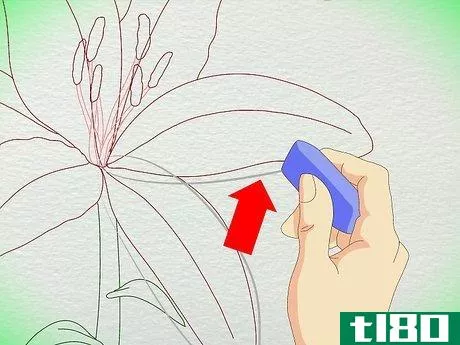 Image titled Draw a Lily Step 21