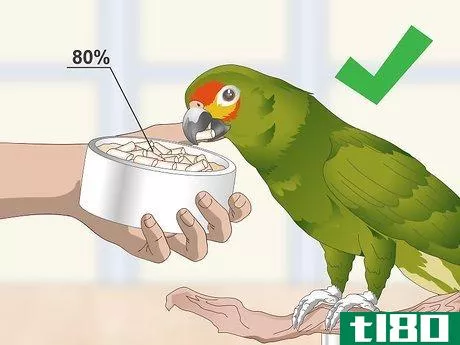 Image titled Feed an Amazon Parrot Step 1
