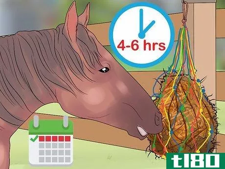 Image titled Feed a Starving Horse Step 7