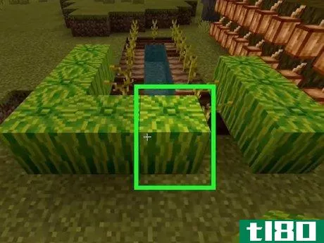 Image titled Find Food in Minecraft Step 6