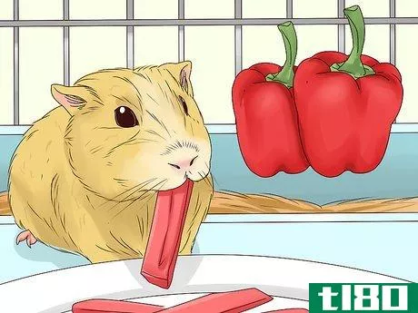 Image titled Feed a Guinea Pig Step 4