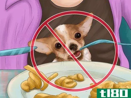 Image titled Feed Picky Chihuahuas Step 8
