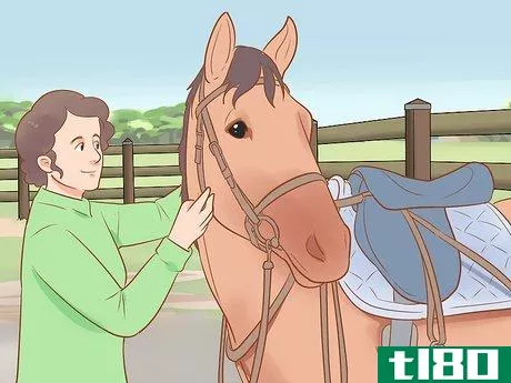 Image titled Find out Why a Horse Is Crow Hopping Step 1