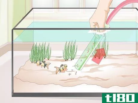 Image titled Do a Water Change in a Freshwater Aquarium Step 7