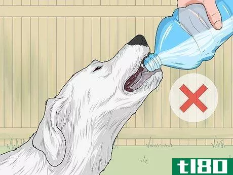 Image titled Feed a Sick Dog Step 16