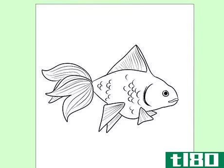 Image titled Draw Goldfish Step 8