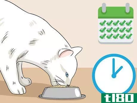 Image titled Feed a Diabetic Cat Step 8