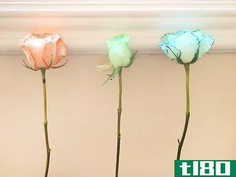Image titled Dye White Roses with Food Coloring Step 7