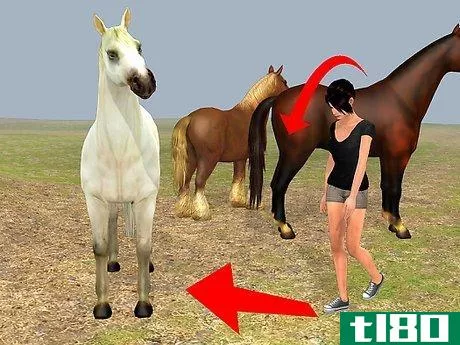 Image titled Easily Catch Your Horse Step 4
