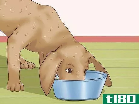 Image titled Get Dogs to Stop Barking Step 18