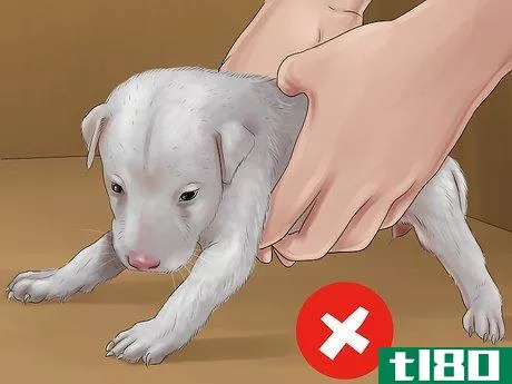 Image titled Know if You Are Ready for a Dog Step 23